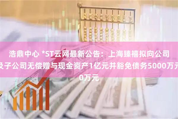 浩鼎中心 *ST云网最新公告：上海臻禧拟向公司及子公司无偿赠与现金资产1亿元并豁免债务5000万元