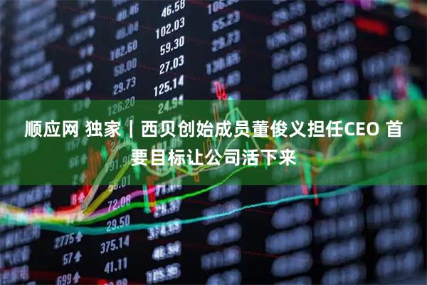 顺应网 独家｜西贝创始成员董俊义担任CEO 首要目标让公司活下来